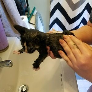 Meet your Posher, Gerald